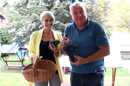 Sladki grozdi v kamniškem Parku Evropa (3)